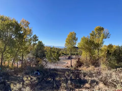 1590 SE 3rd St, Cedaredge, CO 81413 photo 15