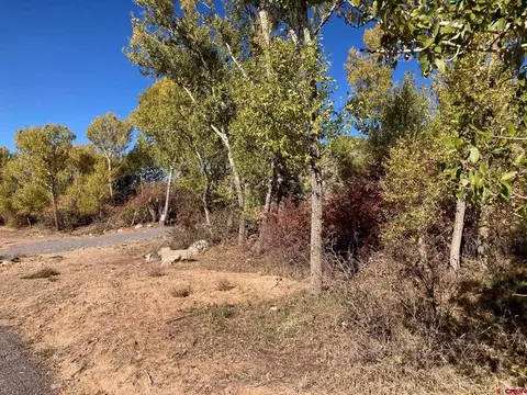 1590 SE 3rd St, Cedaredge, CO 81413 photo 23