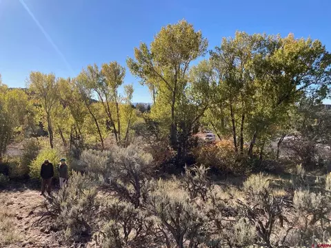 1590 SE 3rd St, Cedaredge, CO 81413 photo 14