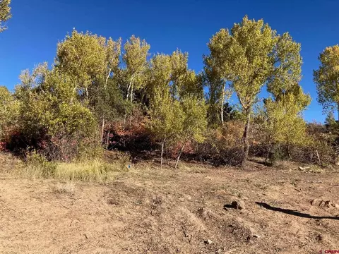 1590 SE 3rd St, Cedaredge, CO 81413