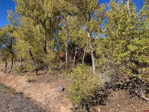 1590 SE 3rd St, Cedaredge, CO 81413 photo 22