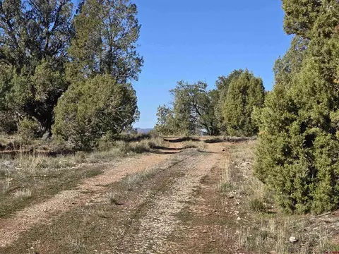 134 Rawhide Rd, Durango, CO 81303 photo 3