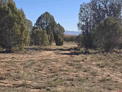 134 Rawhide Rd, Durango, CO 81303 photo 4