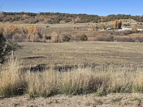 1308 Wrangler Way, Durango, CO 81303 photo 6