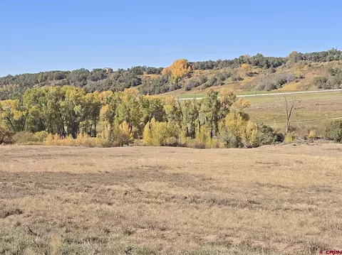 1308 Wrangler Way, Durango, CO 81303 photo 4