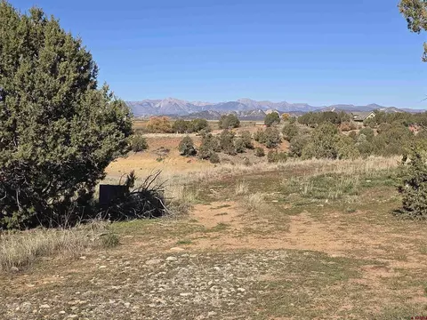 100 110 Wrangler Way, Durango, CO 81303