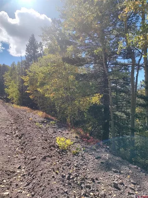 lot5374 Adams Rd, Fort Garland, CO 81133