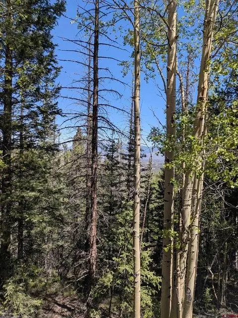 lot5374 Adams Rd, Fort Garland, CO 81133