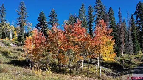 474 Engineer Dr, Durango, CO 81301 photo 23