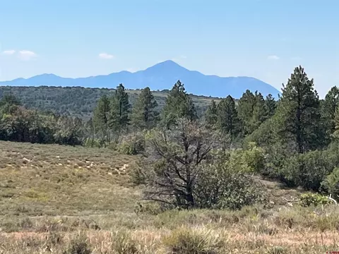tbd Fsr 259, Dolores, CO 81323