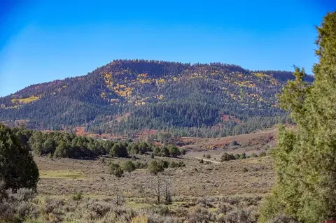 X Tall Pines Place, Pagosa Springs, CO 81147