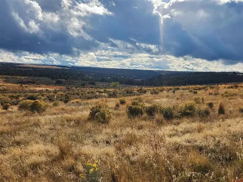 28102 Road 175, Pleasant View, CO 81331