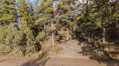 244 Ute Dr, Pagosa Springs, CO 81147
