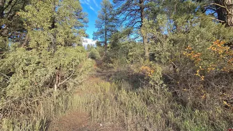 244 Ute Dr, Pagosa Springs, CO 81147