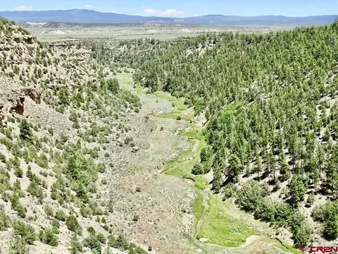 955 County Road 303 Rd #CROSS CANYON RANCH, Cebolla, NM 87518
