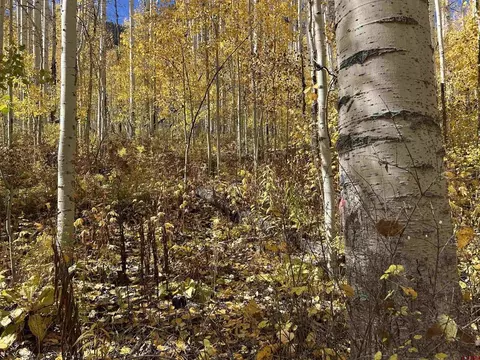 117 Long Story Rd, Durango, CO 81301