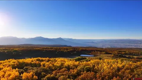 33339 Oak Mesa Rd, Hotchkiss, CO 81419