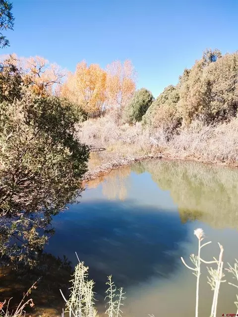 lot4470 Indian Creek Rd, Fort Garland, CO 81133