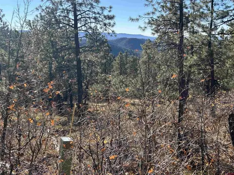 490 Hilltop Dr, Bayfield, CO 81122