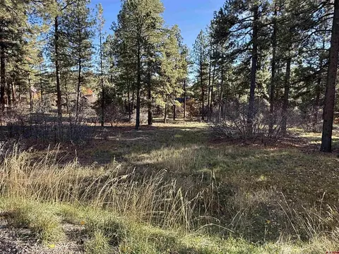 65 Mill Creek Ct, Durango, CO 81301 photo 8