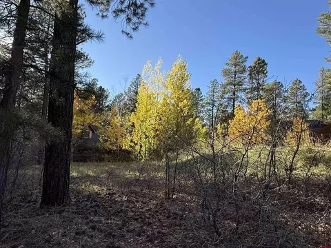 65 Mill Creek Ct, Durango, CO 81301 photo 13