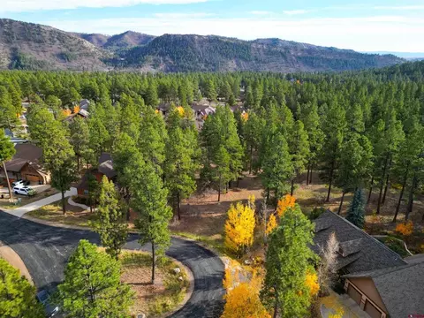 65 Mill Creek Ct, Durango, CO 81301 photo 5