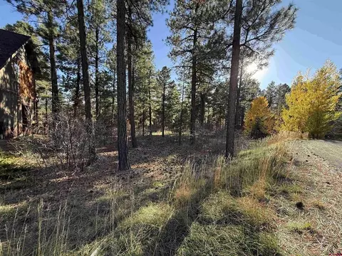 65 Mill Creek Ct, Durango, CO 81301 photo 10