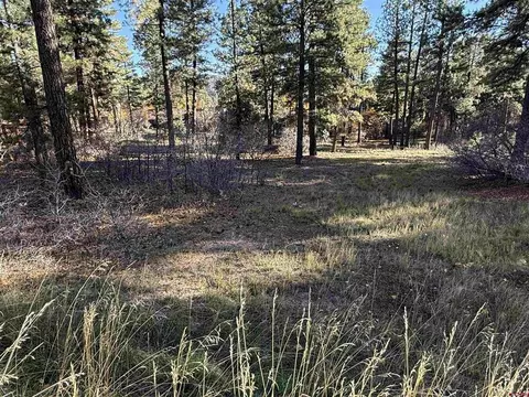 65 Mill Creek Ct, Durango, CO 81301 photo 14