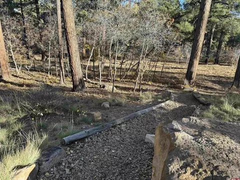 65 Mill Creek Ct, Durango, CO 81301 photo 18