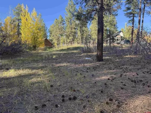65 Mill Creek Ct, Durango, CO 81301 photo 12