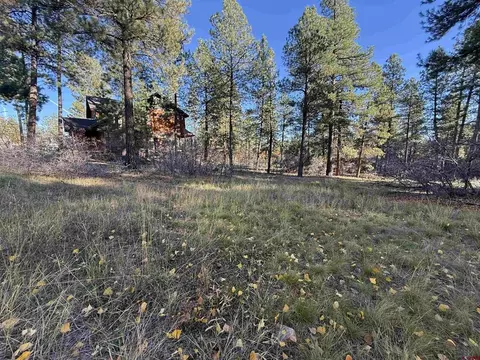 65 Mill Creek Ct, Durango, CO 81301 photo 11