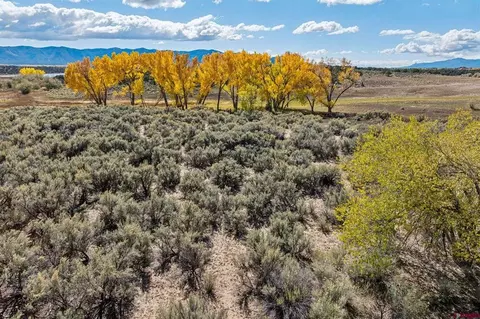 tbd Road 29, Cortez, CO 81321 photo 24