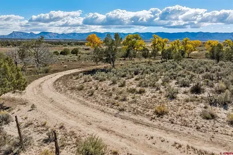 tbd Road 29, Cortez, CO 81321 photo 7