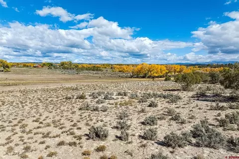 tbd Road 29, Cortez, CO 81321 photo 32