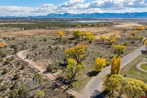 tbd Road 29, Cortez, CO 81321 photo 6