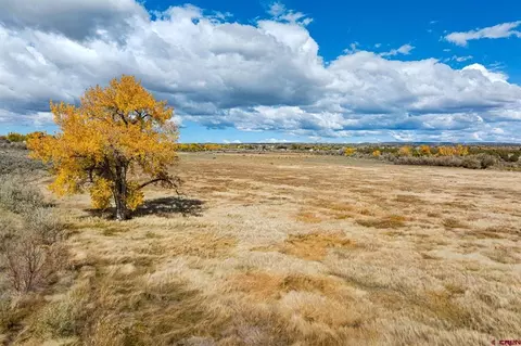 tbd Road 29, Cortez, CO 81321 photo 40
