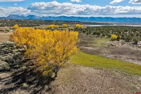 tbd Road 29, Cortez, CO 81321 photo 26
