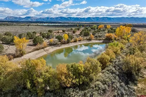 tbd Road 29, Cortez, CO 81321 photo 14