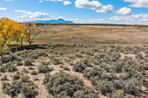tbd Road 29, Cortez, CO 81321 photo 25