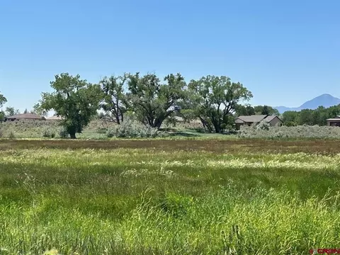tbd Road 29, Cortez, CO 81321
