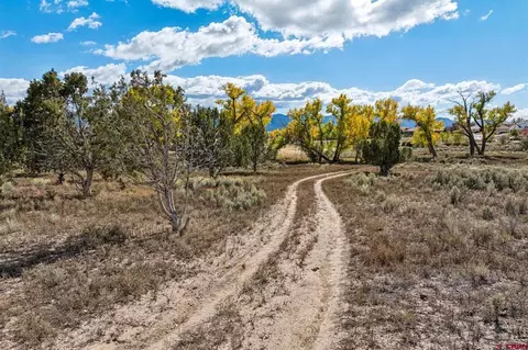 tbd Road 29, Cortez, CO 81321 photo 44
