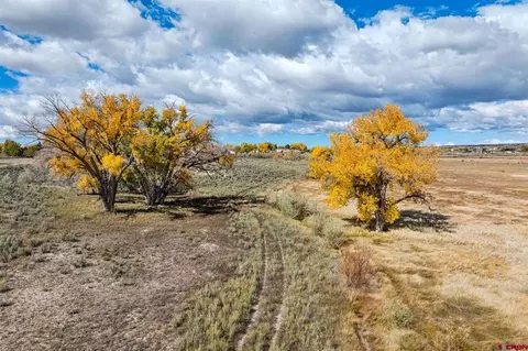 tbd Road 29, Cortez, CO 81321 photo 39