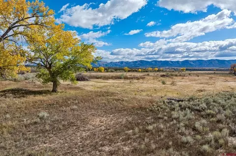 tbd Road 29, Cortez, CO 81321 photo 27
