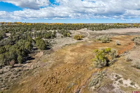tbd Road 29, Cortez, CO 81321 photo 35