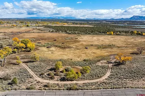 tbd Road 29, Cortez, CO 81321 photo 8