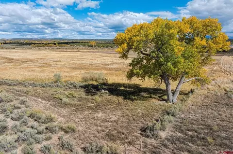 tbd Road 29, Cortez, CO 81321 photo 37