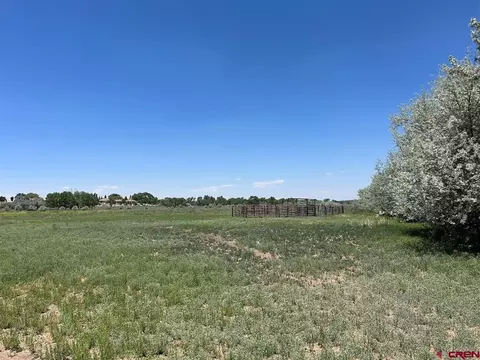 tbd Road 29, Cortez, CO 81321 photo 5