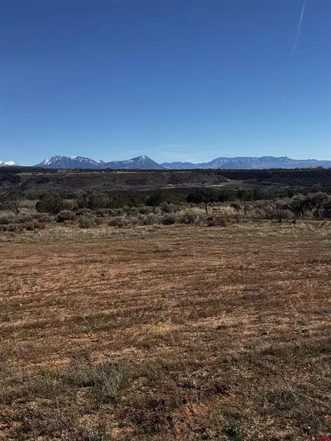 tbd Lot 14 2625 Ln, Cedaredge, CO 81413
