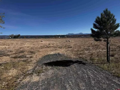 tbd Lot 9 Stardust Ln, Cedaredge, CO 81413 photo 2