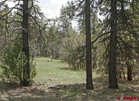 2399 Bull Elk Pl, Pagosa Springs, CO 81147